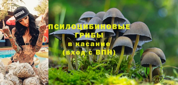 дживик Нефтекумск