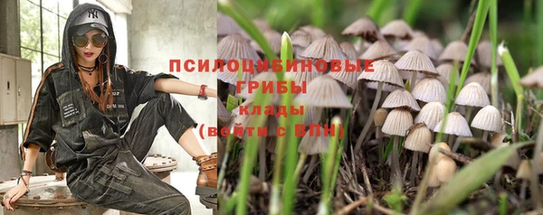 дживик Нефтекумск