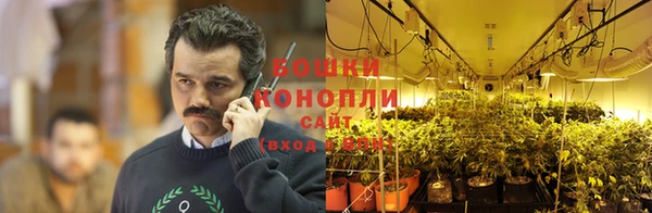 дживик Нефтекумск