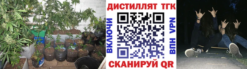ТГК вейп  гидра tor  Шарыпово 